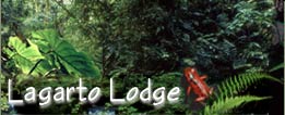 Laguna del Lagarto Rainforest Lodge, Costa Rica